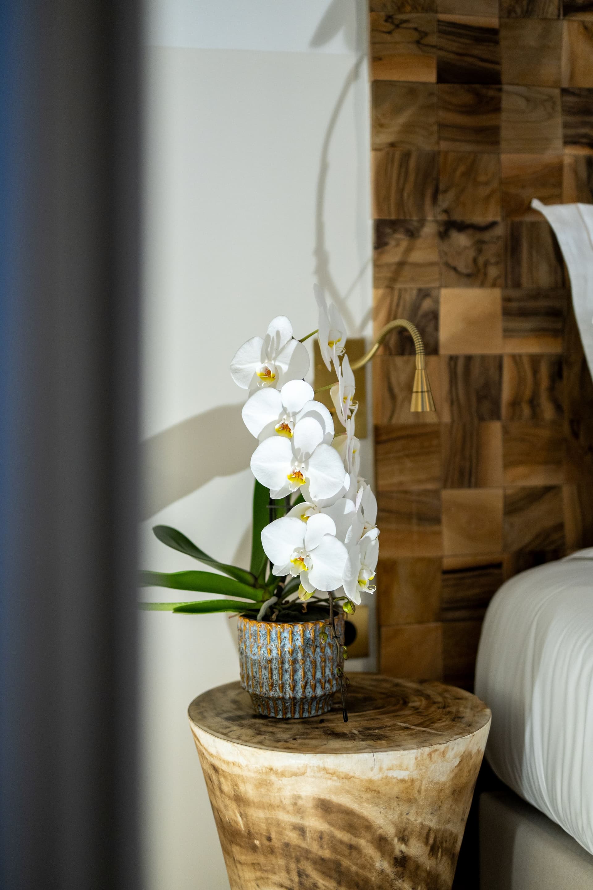 2025.12 @morganpaluneclektic.11