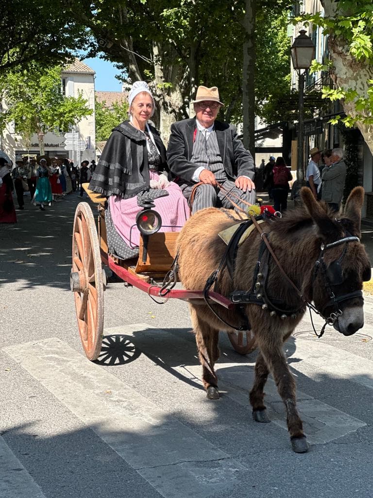 hotel le saint remy decouvrir (7)