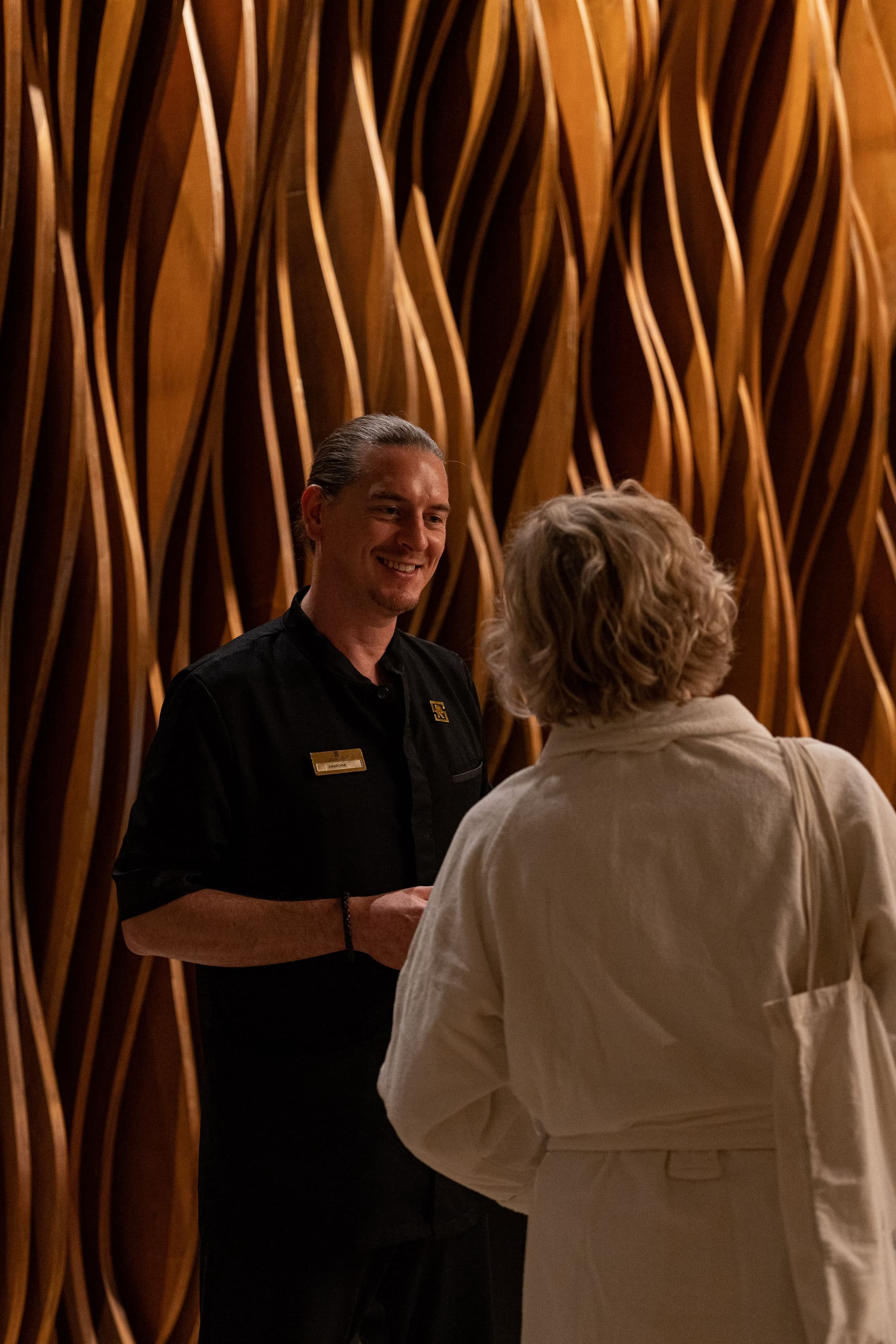 hotel le saint remy spa (10)